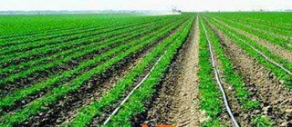 農（nóng）田灌溉行業