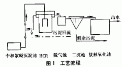 農村小型汙水處理設備|HCR反應器處理味精廠廢水